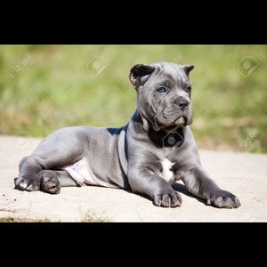 Meet your Posher, Kayode